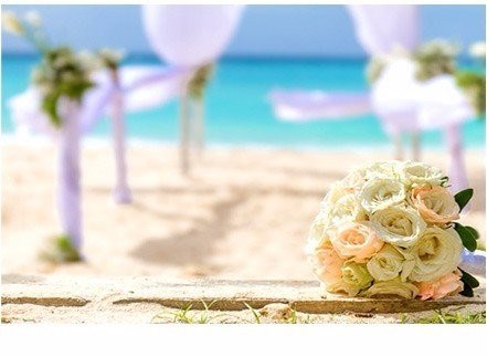 מנה מנה - מחירי מנות מנה מנה - מחירי מנות