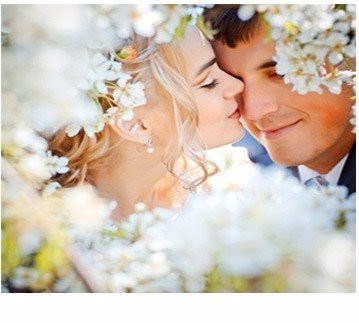 מנה מנה - מחיר חתונה מנה מנה - מחיר חתונה